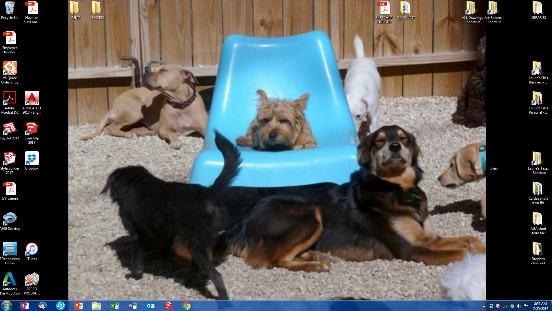 Ivy Designer Desktop