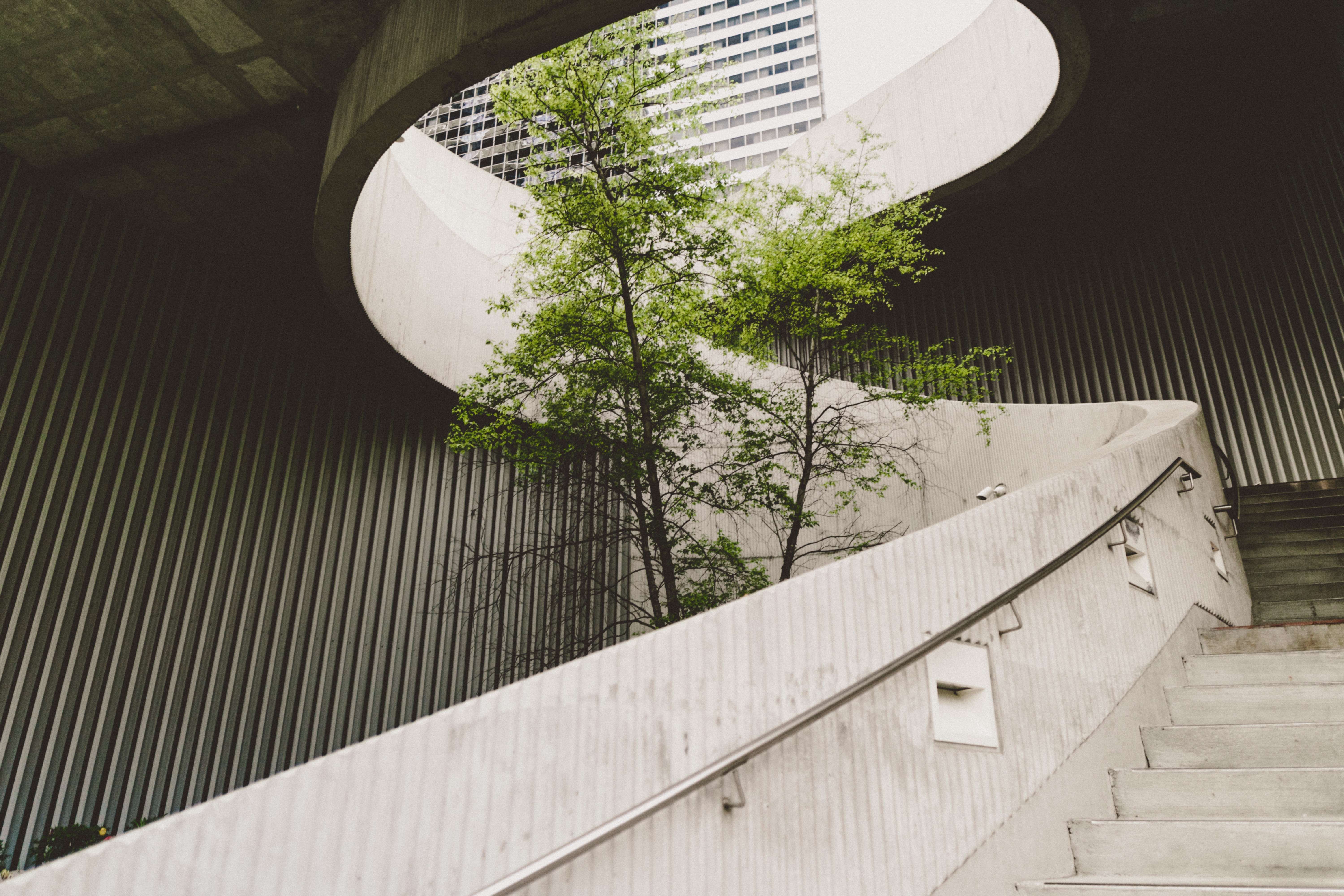 How Sustainable Design Business Practices Can Increase Your Bottom Line
